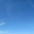 IMG 4552