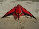 Photos détaillées du SPECTRE ( ITW kites )